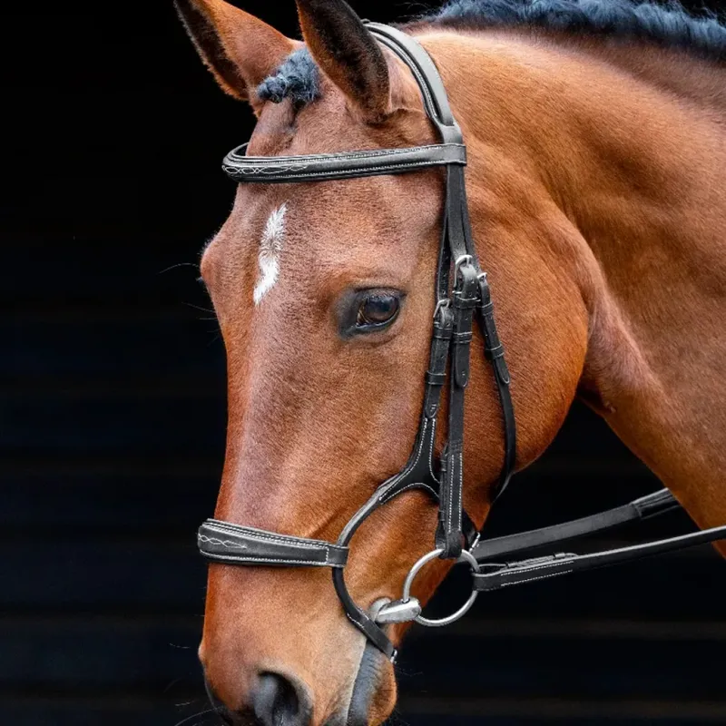Shires Salisbury Brampton Bridle in Black